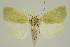  ( - BC EF Alc 01222)  @13 [ ] Copyright (2010) Unspecified Research Collection of Egbert Friedrich