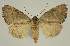  ( - BC EF Alc 01233)  @13 [ ] Copyright (2010) Unspecified Research Collection of Egbert Friedrich