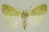  ( - BC EF Alc 01237)  @13 [ ] Copyright (2010) Unspecified Research Collection of Egbert Friedrich