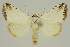 ( - BC EF Alc 01241)  @13 [ ] Copyright (2010) Unspecified Research Collection of Egbert Friedrich