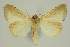  ( - BC EF Alc 01241)  @13 [ ] Copyright (2010) Unspecified Research Collection of Egbert Friedrich