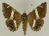  ( - BC EF Alc 01246)  @14 [ ] Copyright (2010) Unspecified Research Collection of Egbert Friedrich