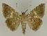  ( - BC EF Alc 01246)  @13 [ ] Copyright (2010) Unspecified Research Collection of Egbert Friedrich