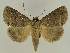  ( - BC EF Alc 01247)  @14 [ ] Copyright (2010) Unspecified Research Collection of Egbert Friedrich