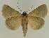 ( - BC EF Alc 01247)  @14 [ ] Copyright (2010) Unspecified Research Collection of Egbert Friedrich