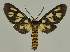  ( - BC EF Alc 01257)  @13 [ ] Copyright (2010) Unspecified Research Collection of Egbert Friedrich