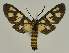  ( - BC EF Alc 01257)  @13 [ ] Copyright (2010) Unspecified Research Collection of Egbert Friedrich