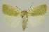  ( - BC EF Alc 01261)  @13 [ ] Copyright (2010) Unspecified Research Collection of Egbert Friedrich