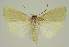  ( - BC EF Alc 01261)  @12 [ ] Copyright (2010) Unspecified Research Collection of Egbert Friedrich