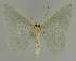  ( - BC EF Alc 01263)  @13 [ ] Copyright (2010) Unspecified Research Collection of Egbert Friedrich