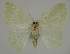  ( - BC EF Alc 01264)  @13 [ ] Copyright (2010) Unspecified Research Collection of Egbert Friedrich