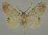  ( - BC EF Alc 01268)  @13 [ ] Copyright (2010) Unspecified Research Collection of Egbert Friedrich