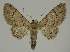  ( - BC EF Alc 01277)  @14 [ ] Copyright (2010) Unspecified Research Collection of Egbert Friedrich
