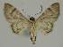  ( - BC EF Alc 01277)  @13 [ ] Copyright (2010) Unspecified Research Collection of Egbert Friedrich