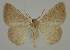  ( - BC EF Alc 01282)  @13 [ ] Copyright (2010) Unspecified Research Collection of Egbert Friedrich