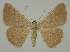  ( - BC EF Alc 01283)  @13 [ ] Copyright (2010) Unspecified Research Collection of Egbert Friedrich