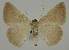  ( - BC EF Alc 01283)  @13 [ ] Copyright (2010) Unspecified Research Collection of Egbert Friedrich