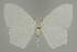  ( - BC EF Alc 01285)  @13 [ ] Copyright (2010) Unspecified Research Collection of Egbert Friedrich