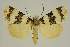  ( - BC EF Alc 01288)  @14 [ ] Copyright (2010) Unspecified Research Collection of Egbert Friedrich