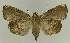  ( - BC EF Alc 01295)  @13 [ ] Copyright (2010) Unspecified Research Collection of Egbert Friedrich
