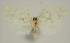  ( - BC EF Alc 01297)  @13 [ ] Copyright (2010) Unspecified Research Collection of Egbert Friedrich