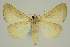  ( - BC EF Alc 01298)  @13 [ ] Copyright (2010) Unspecified Research Collection of Egbert Friedrich
