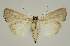  ( - BC EF Alc 01302)  @13 [ ] Copyright (2010) Unspecified Research Collection of Egbert Friedrich