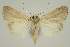  ( - BC EF Alc 01305)  @13 [ ] Copyright (2010) Unspecified Research Collection of Egbert Friedrich