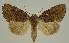  ( - BC EF Alc 01307)  @14 [ ] Copyright (2010) Unspecified Research Collection of Egbert Friedrich