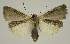  ( - BC EF Alc 01310)  @13 [ ] Copyright (2010) Unspecified Research Collection of Egbert Friedrich