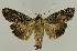  ( - BC EF Alc 01315)  @14 [ ] Copyright (2010) Unspecified Research Collection of Egbert Friedrich
