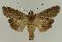  ( - BC EF Alc 01315)  @13 [ ] Copyright (2010) Unspecified Research Collection of Egbert Friedrich