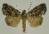  ( - BC EF Alc 01321)  @14 [ ] Copyright (2010) Unspecified Research Collection of Egbert Friedrich
