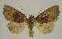  ( - BC EF Alc 01324)  @13 [ ] Copyright (2010) Unspecified Research Collection of Egbert Friedrich