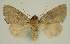  ( - BC EF Alc 01324)  @13 [ ] Copyright (2010) Unspecified Research Collection of Egbert Friedrich