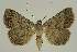  ( - BC EF Alc 01329)  @14 [ ] Copyright (2010) Unspecified Research Collection of Egbert Friedrich
