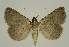  ( - BC EF Alc 01329)  @13 [ ] Copyright (2010) Unspecified Research Collection of Egbert Friedrich