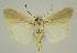  ( - BC EF Alc 01334)  @13 [ ] Copyright (2010) Unspecified Research Collection of Egbert Friedrich