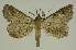  ( - BC EF Alc 01335)  @14 [ ] Copyright (2010) Unspecified Research Collection of Egbert Friedrich