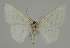  ( - BC EF Alc 01364)  @13 [ ] Copyright (2010) Unspecified Research Collection of Egbert Friedrich