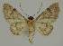  ( - BC EF Alc 01367)  @13 [ ] Copyright (2010) Unspecified Research Collection of Egbert Friedrich