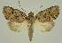  ( - BC EF Alc 01379)  @13 [ ] Copyright (2010) Unspecified Research Collection of Egbert Friedrich