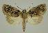  ( - BC EF Alc 01380)  @13 [ ] Copyright (2010) Unspecified Research Collection of Egbert Friedrich