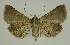  ( - BC EF Alc 01381)  @13 [ ] Copyright (2010) Unspecified Research Collection of Egbert Friedrich