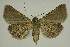  ( - BC EF Alc 01382)  @13 [ ] Copyright (2010) Unspecified Research Collection of Egbert Friedrich