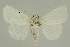  ( - BC EF Alc 01385)  @14 [ ] Copyright (2010) Unspecified Research Collection of Egbert Friedrich