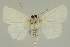  ( - BC EF Alc 01385)  @13 [ ] Copyright (2010) Unspecified Research Collection of Egbert Friedrich