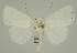  ( - BC EF Alc 01386)  @11 [ ] Copyright (2010) Unspecified Research Collection of Egbert Friedrich