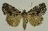  ( - BC EF Alc 01387)  @14 [ ] Copyright (2010) Unspecified Research Collection of Egbert Friedrich