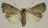  ( - BC EF Alc 01394)  @13 [ ] Copyright (2010) Unspecified Research Collection of Egbert Friedrich